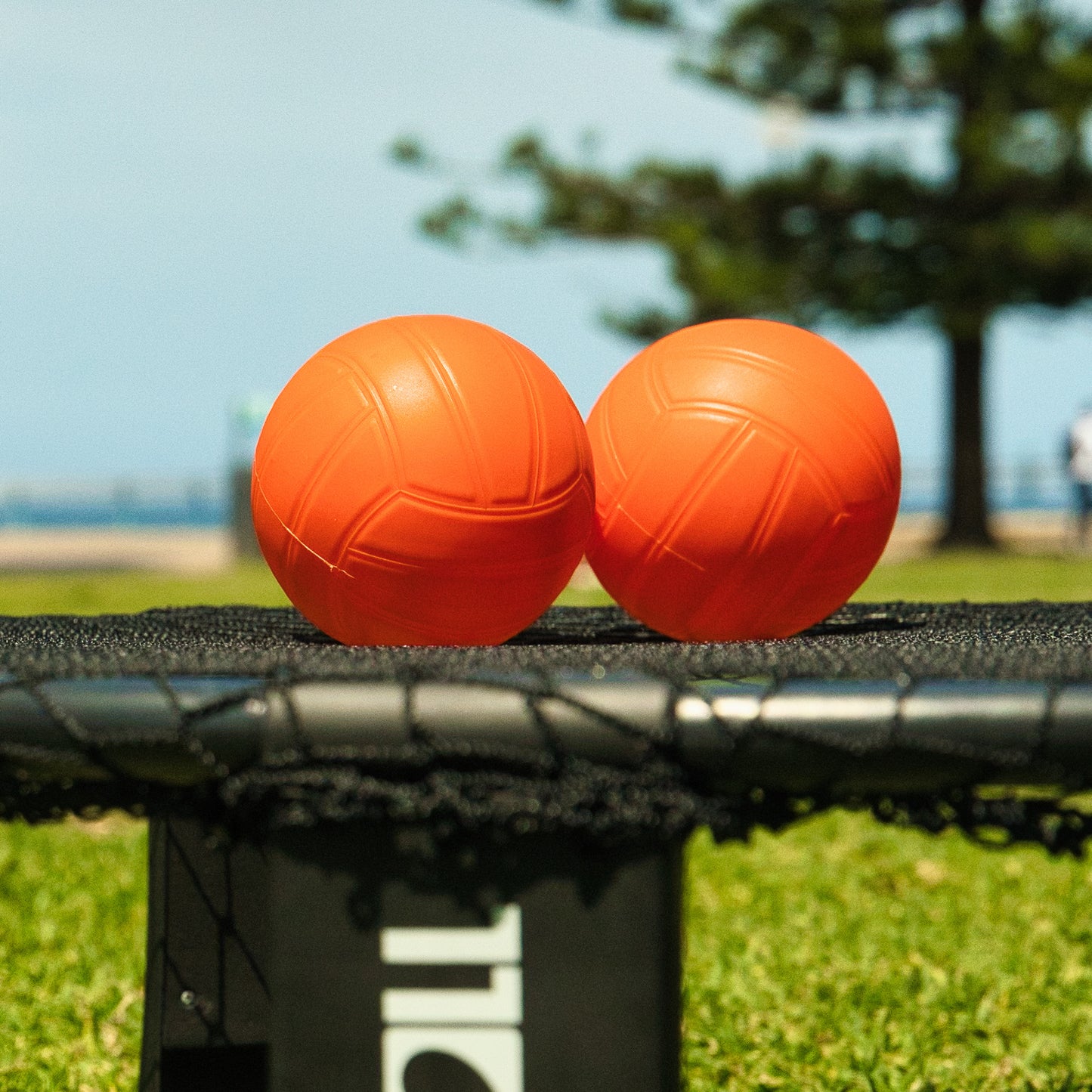 Slamballs (pack of 2)